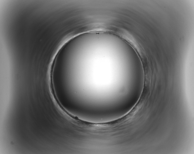X0000098121483200804111105