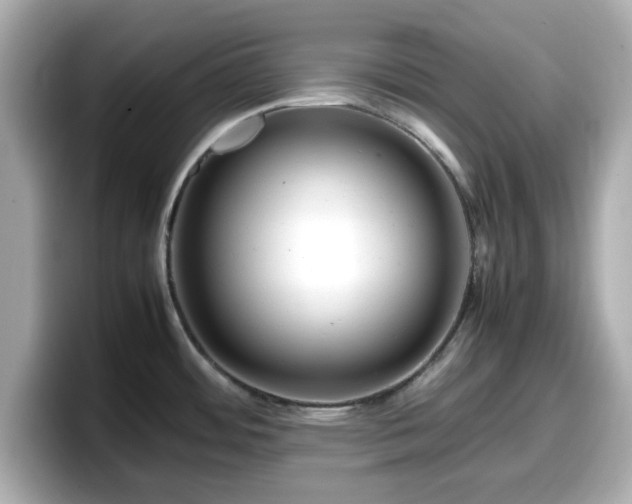 X0000098121484200804111105
