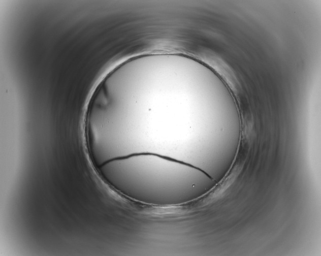 X0000098121486200804111105