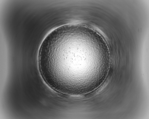 X0000098121487200804111105