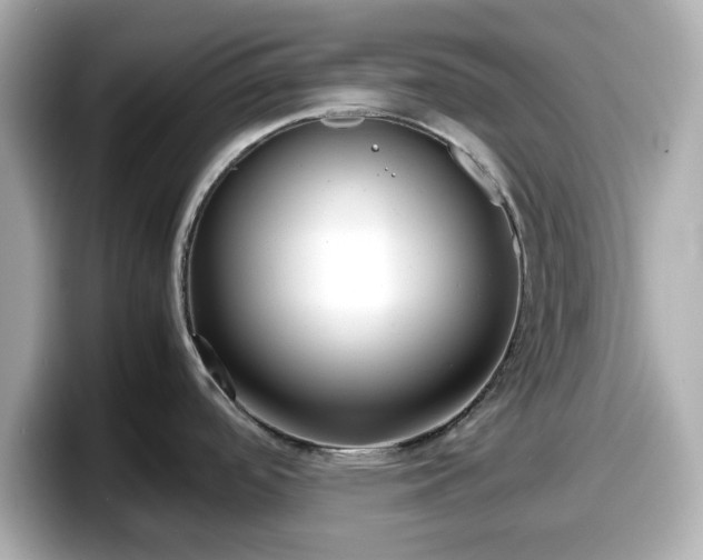X0000098121488200804111105