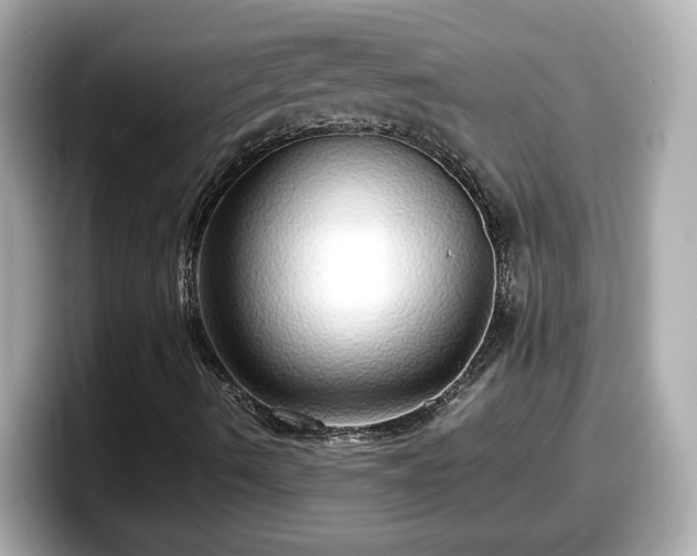 X0000098121490200804111104