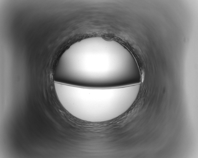 X0000098121492200804111104