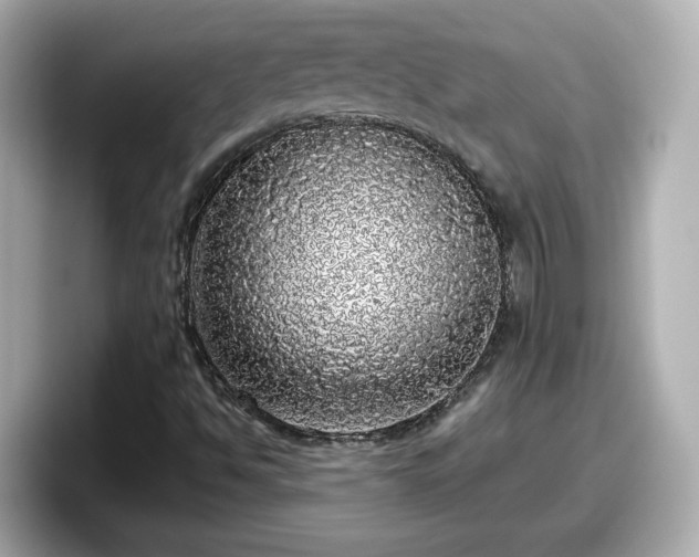 X0000098121494200804111104