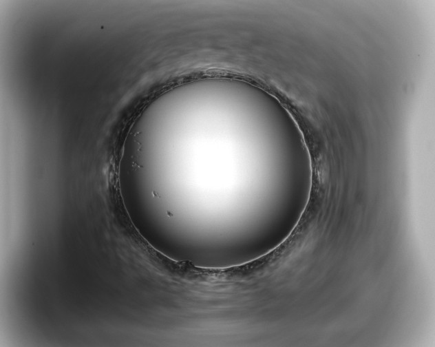 X0000098121495200804111104