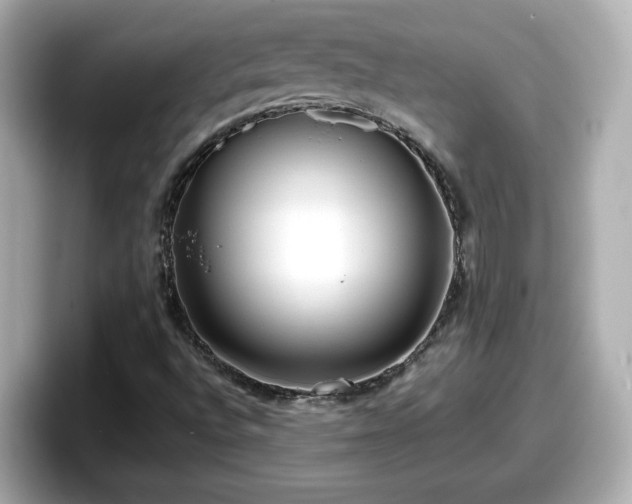 X0000098121496200804111104