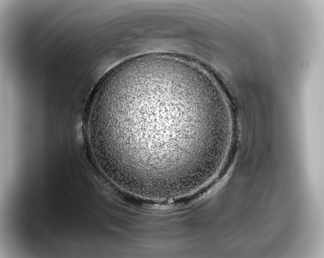 X0000098121497200804111104