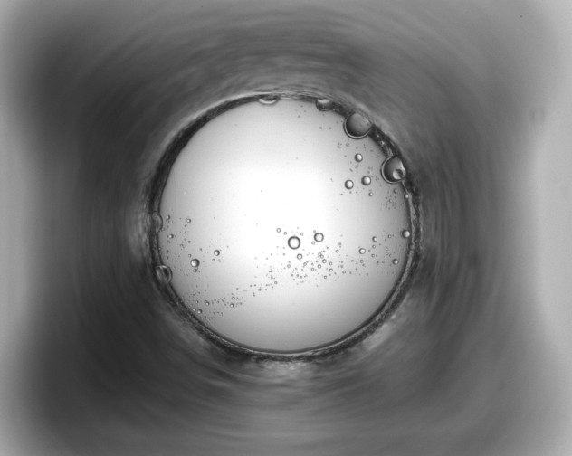 X0000098121498200804111104