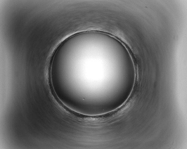 X0000098121500200804111105
