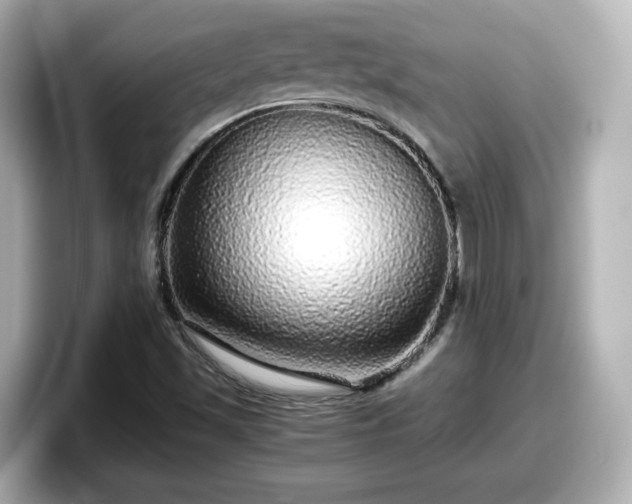 X0000098121501200804111105