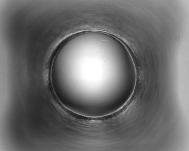 X0000098121503200804111105