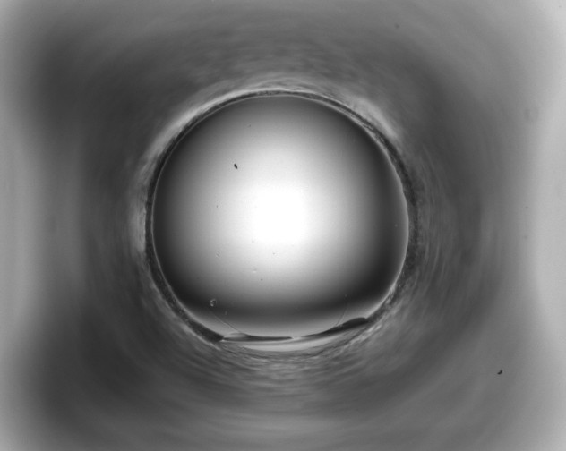 X0000098121504200804111105