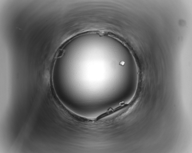 X0000098121505200804111105
