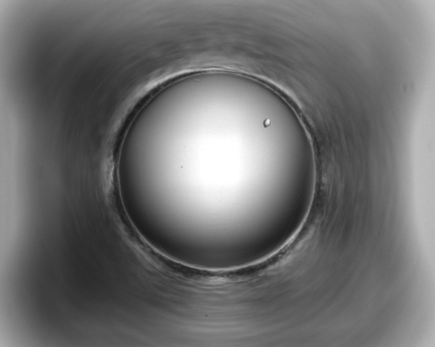 X0000098121507200804111105