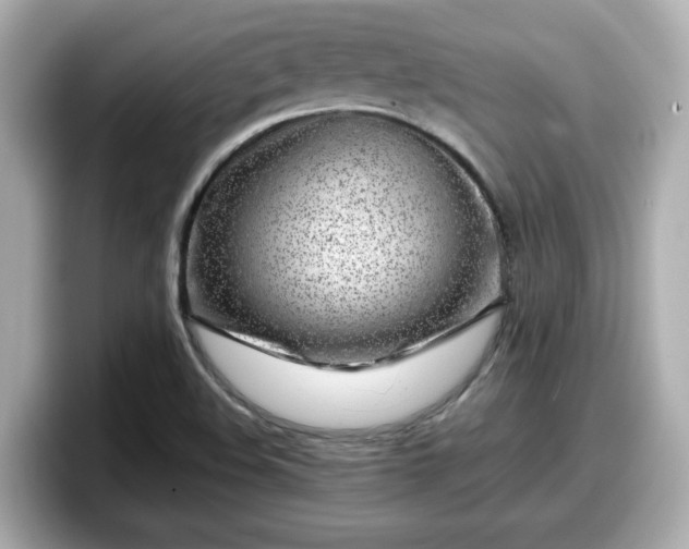 X0000098121508200804111105