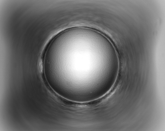X0000098121509200804111105