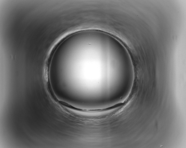 X0000098121510200804111105