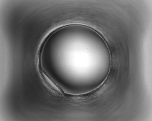 X0000098121511200804111105