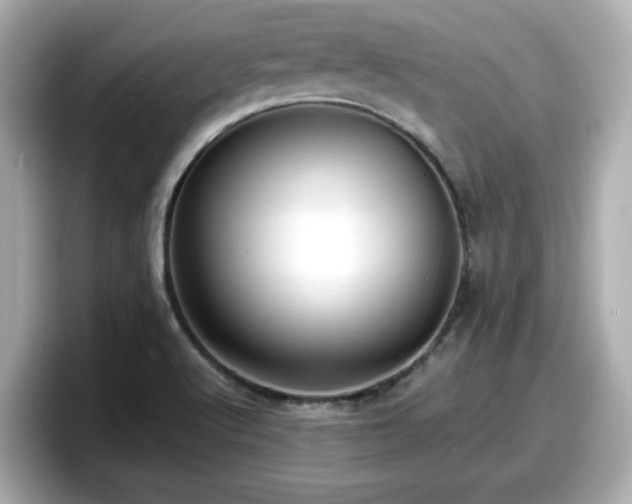 X0000098121512200804111105