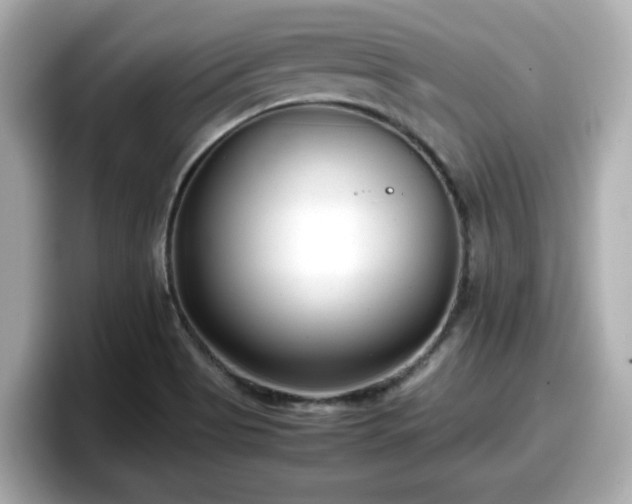 X0000098121513200804111105