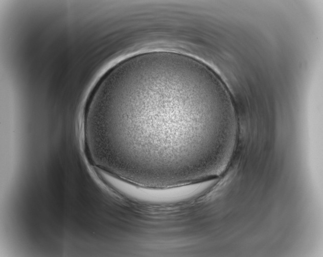 X0000098121515200804111105