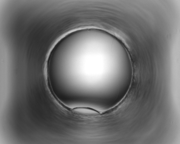 X0000098121516200804111105