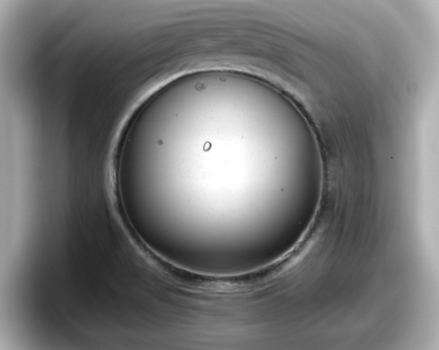X0000098121517200804111105