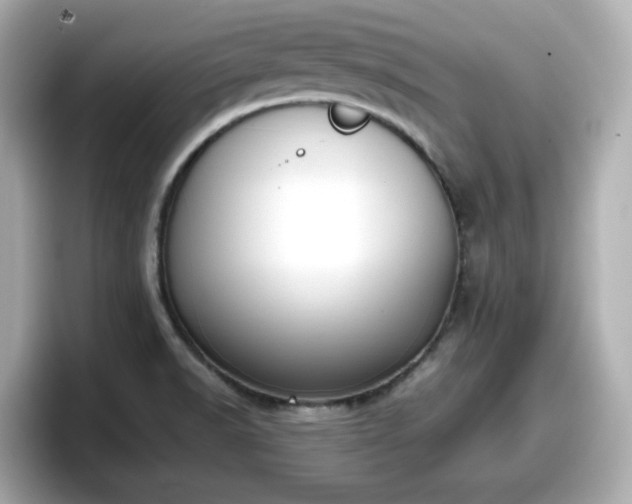 X0000098121518200804111105