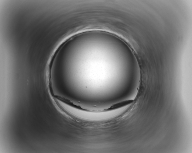 X0000098121519200804111105