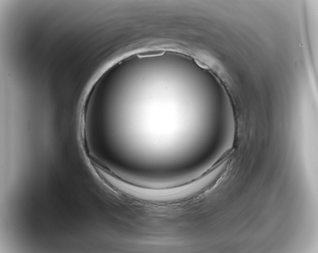 X0000098121520200804111105