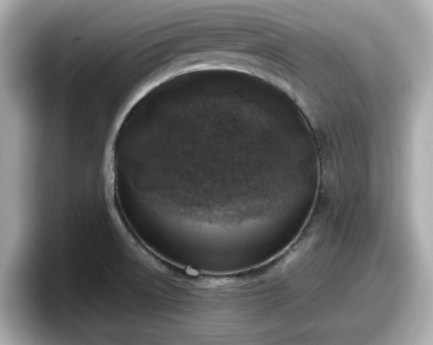 X0000098121522200804111105