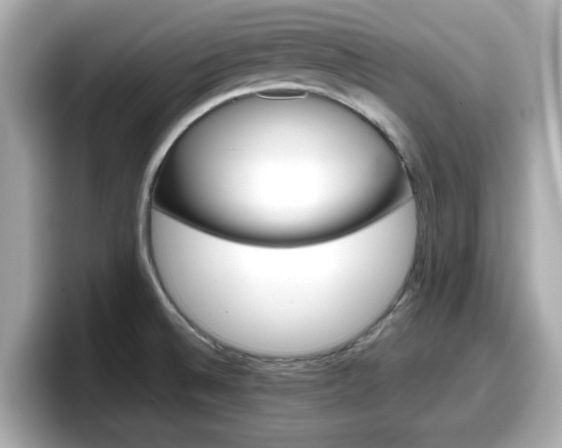 X0000098121524200804111105