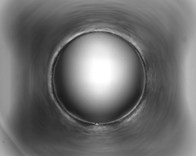 X0000098121525200804111105