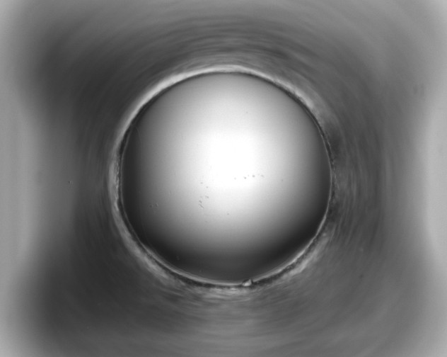 X0000098121526200804111105