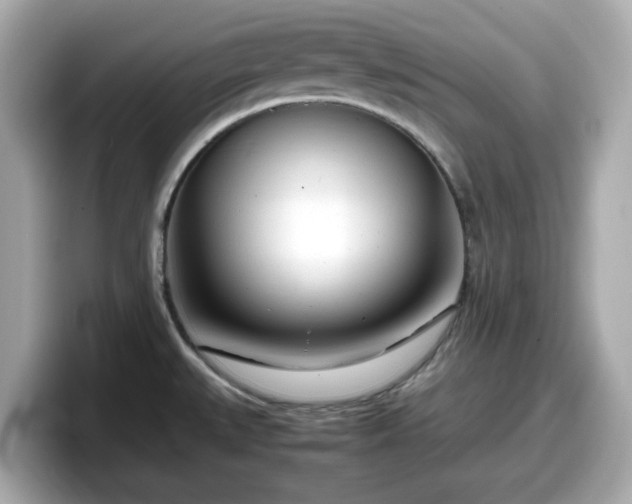 X0000098121527200804111105