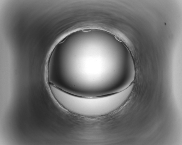 X0000098121528200804111105