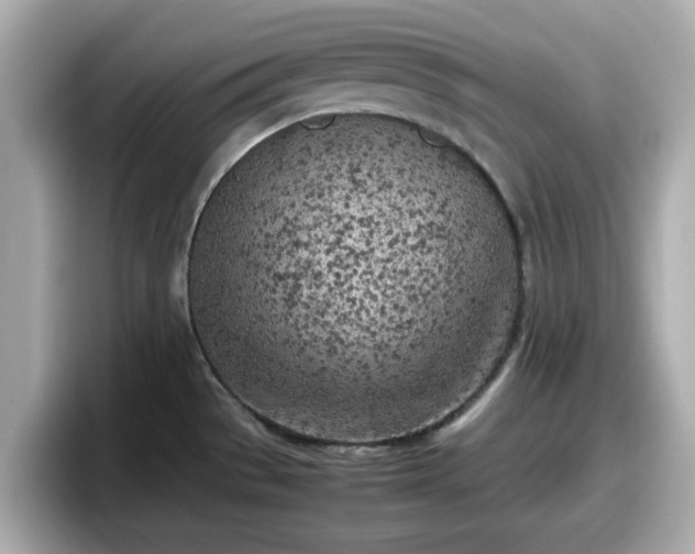 X0000098121529200804111105