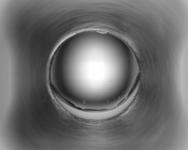 X0000098121530200804111105