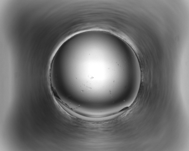 X0000098121532200804111105