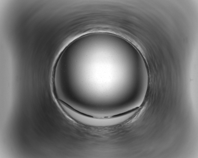X0000098121533200804111105