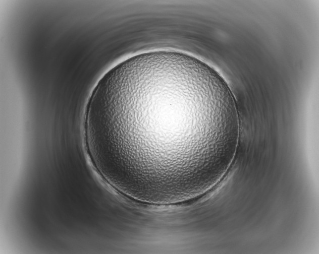 X0000098121534200804111105