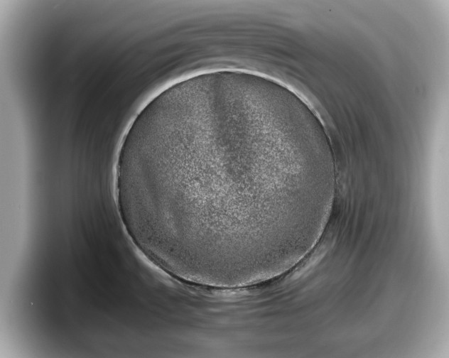 X0000098121535200804111105
