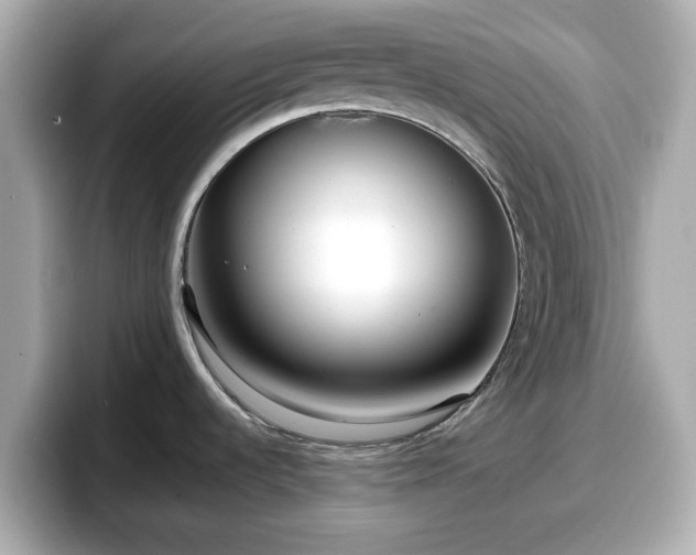 X0000098121536200804111105