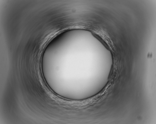X0000098120001200804181533