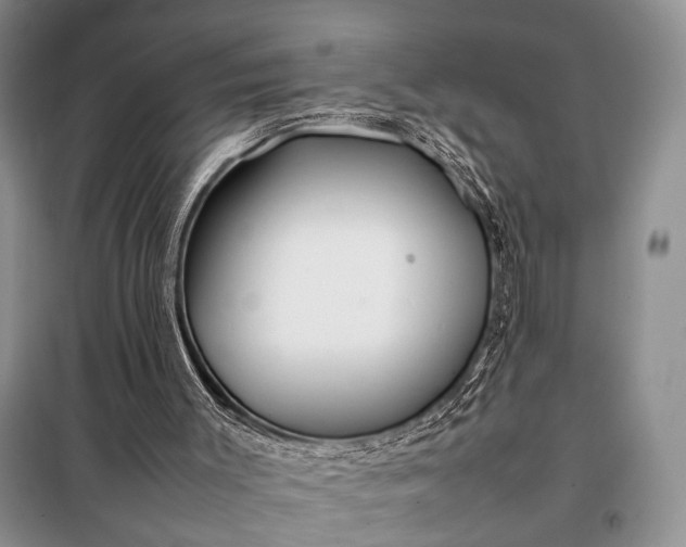 X0000098120003200804181533