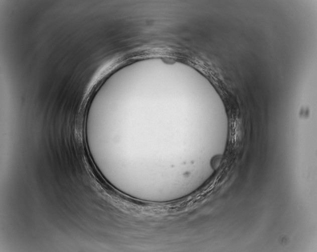 X0000098120004200804181533