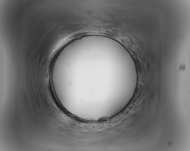 X0000098120005200804181533