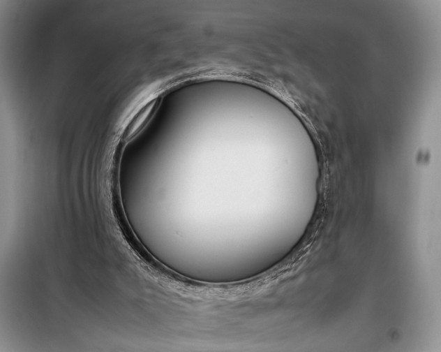 X0000098120007200804181533