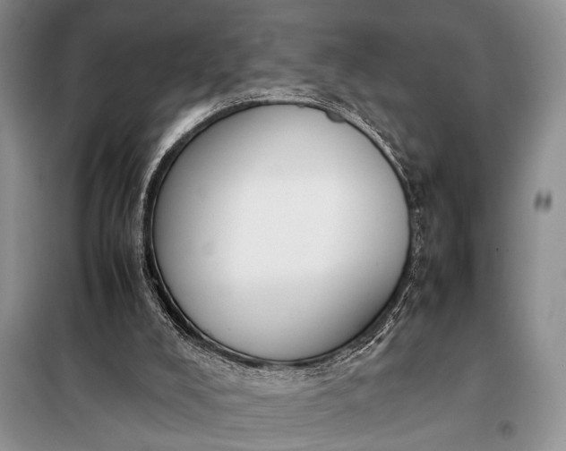 X0000098120008200804181533
