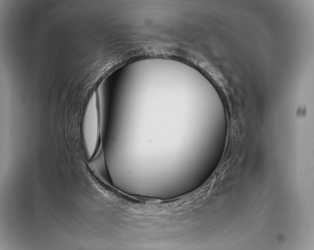 X0000098120009200804181533